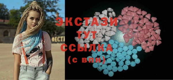 ECSTASY Богородицк